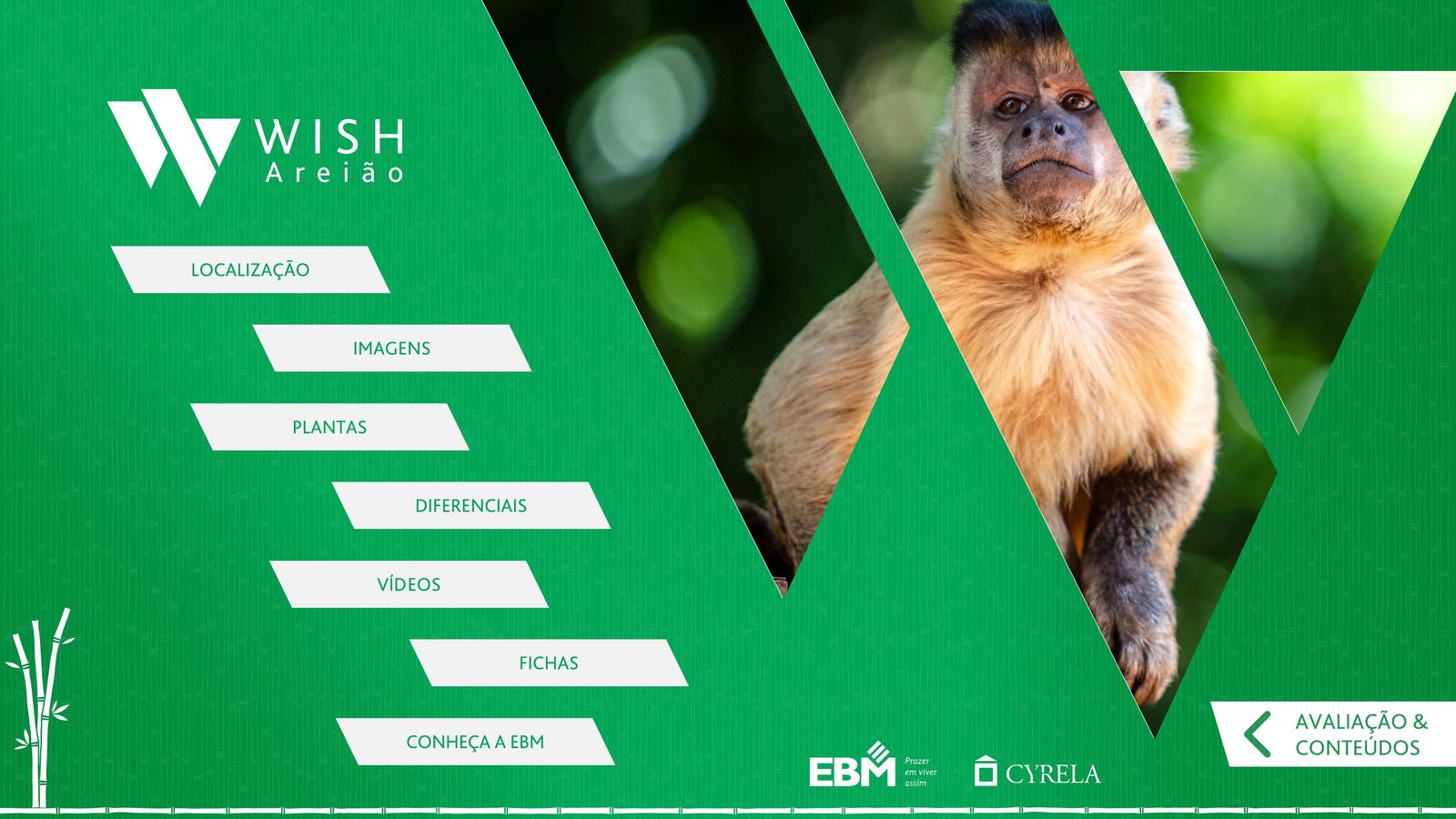 Wish Areião — tela interativa 1